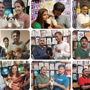 How To Take Care Of A Puppy (10-Step Guide)