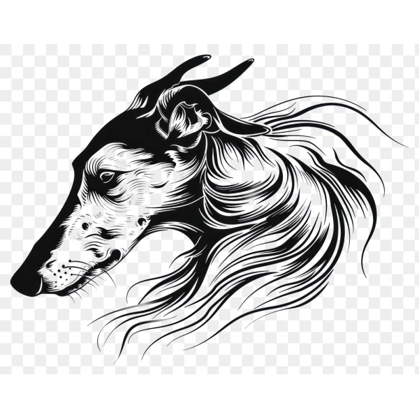 Borzoi