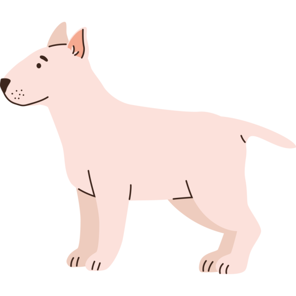 Bull Terrier