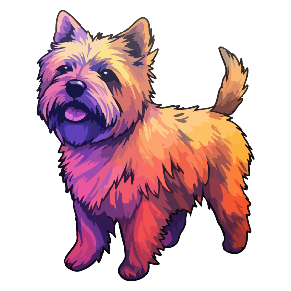 Cairn Terrier