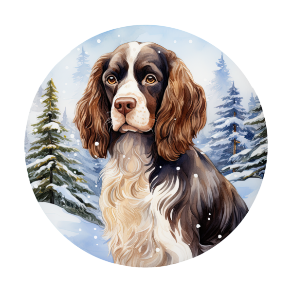 English Springer Spaniel