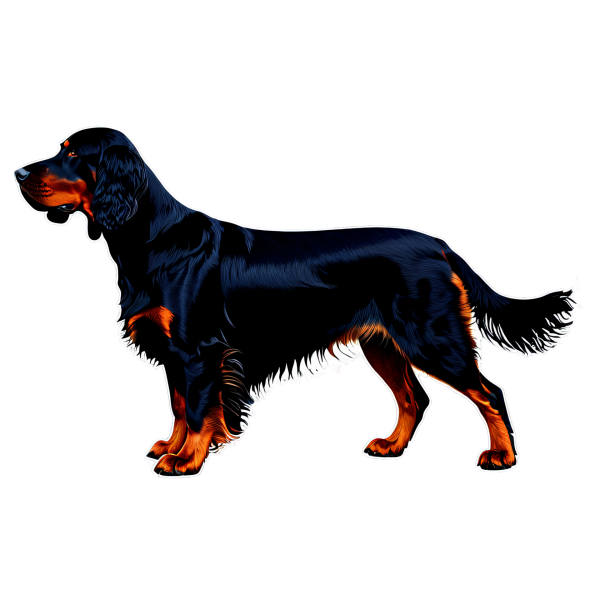 Gordon Setter
