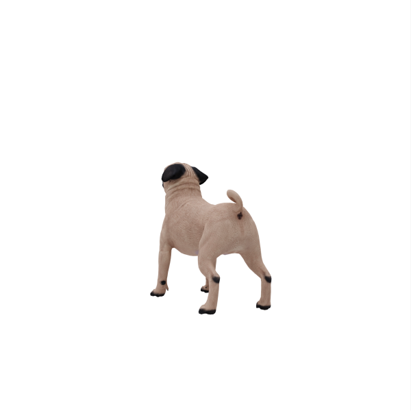 Pug