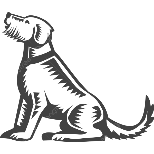 Welsh Terrier